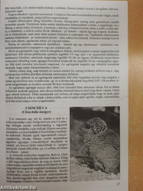 Kisemlősök a lakásban