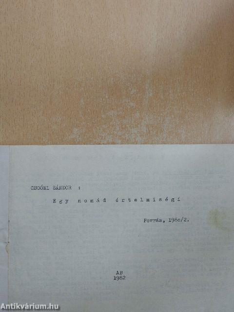 Egy nomád értelmiségi