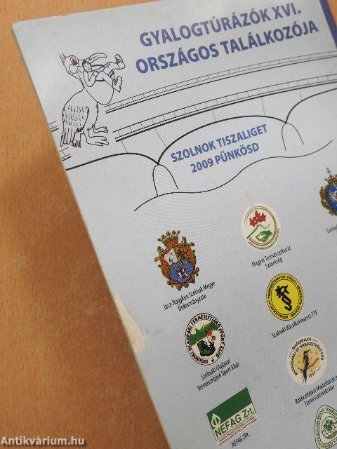 Gyalogtúrázók XVI. országos találkozója