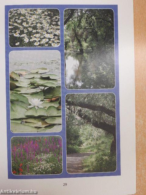 Gyalogtúrázók XVI. országos találkozója