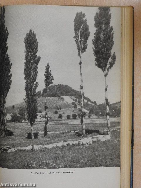 A Balaton környék műemlékei