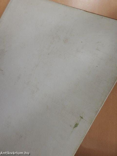 Magyar festészet a XX. században