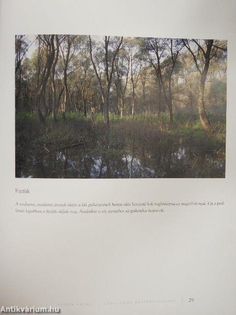 Csallóköz rejtett csodái