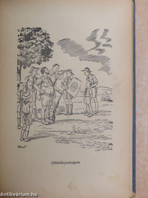 Táborozás a Balatonnál