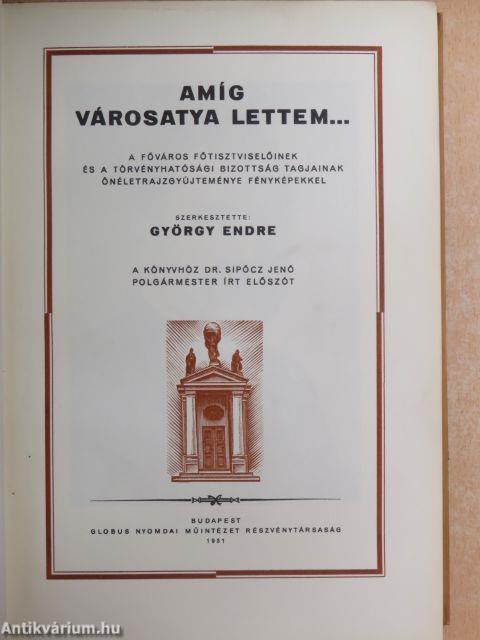 Amíg városatya lettem... II.