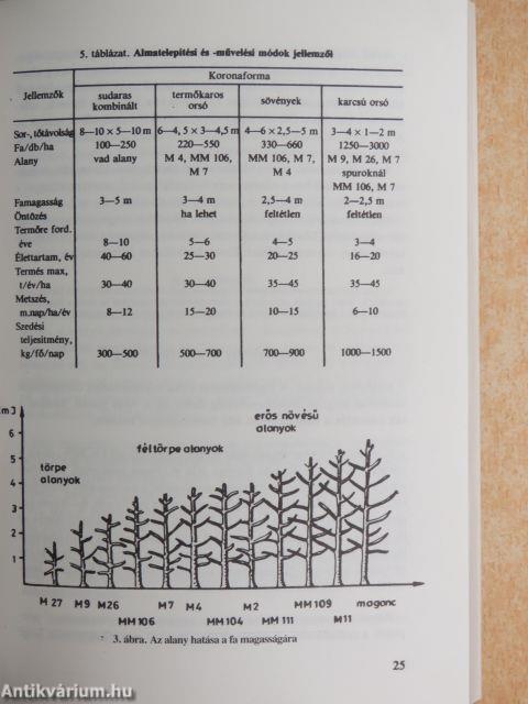 Gyümölcstermesztés III.