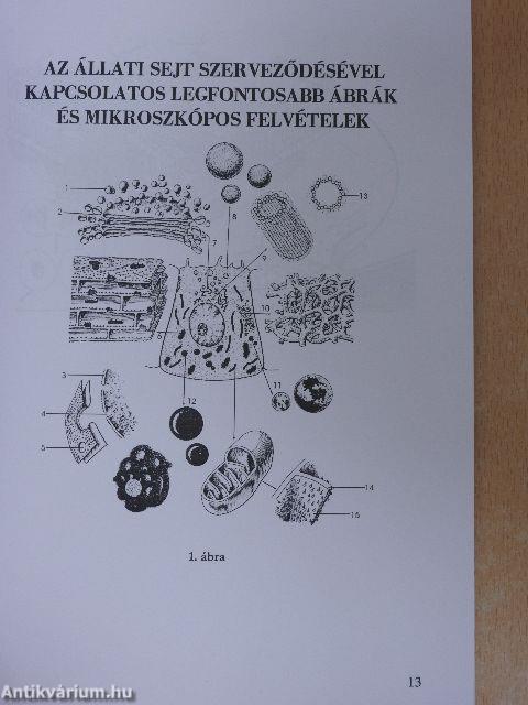 Sejt- és szövettani munkafüzet