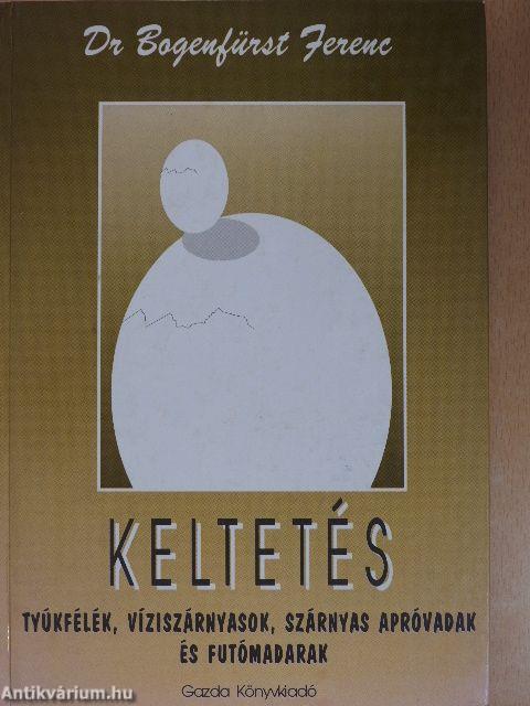 Keltetés