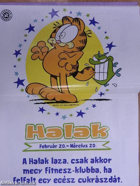 Garfield 2013. március