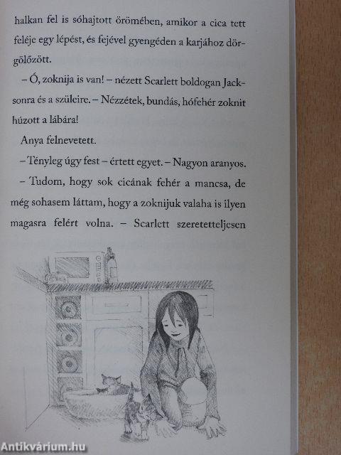 Az elveszett kiscica