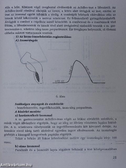 Az emberi test