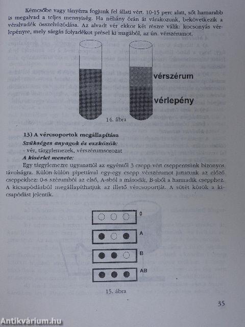 Az emberi test