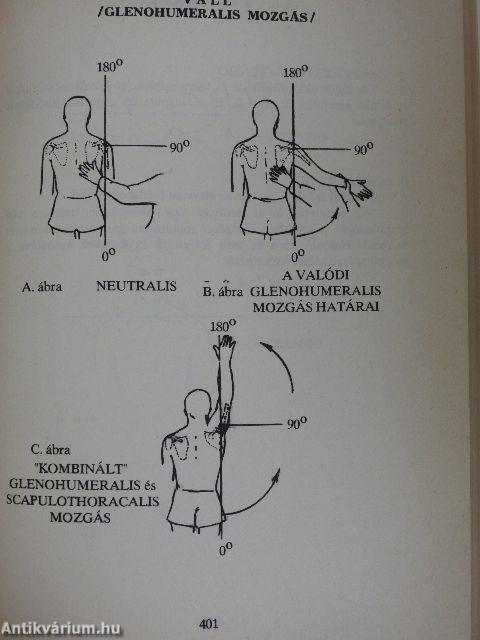 Munkaképesség orvosszakértői vizsgálata, értékelése és véleményezése I-II.