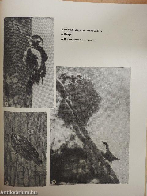 Hazánk állatai és madarai (orosz nyelvű)