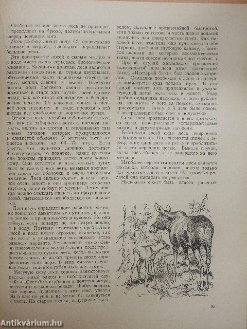 Hazánk állatai és madarai (orosz nyelvű)