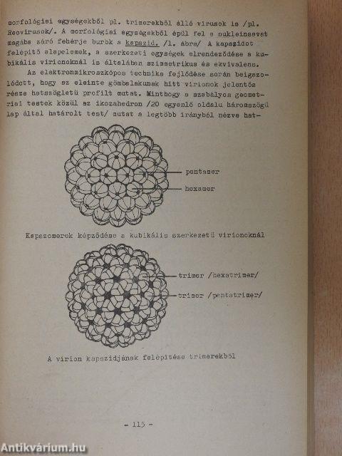 Mikrobiológia, immunológia, parazitológia