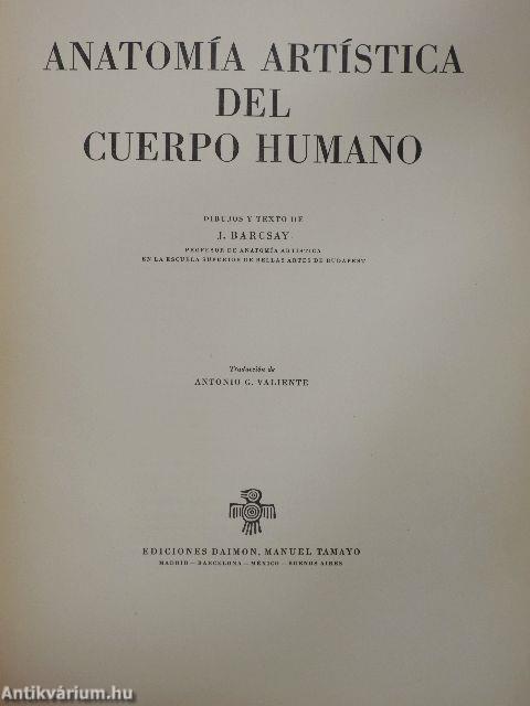 Anatomía artística del cuerpo humano