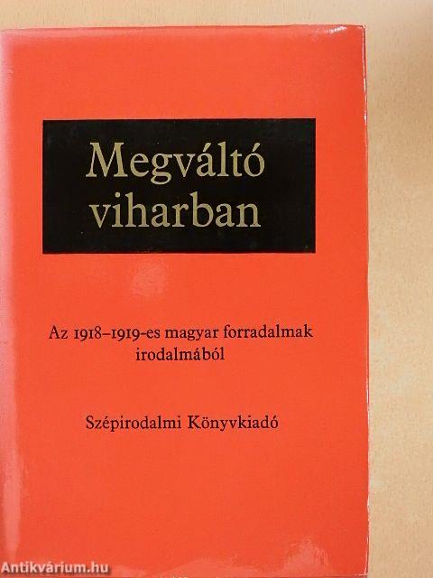 Megváltó viharban