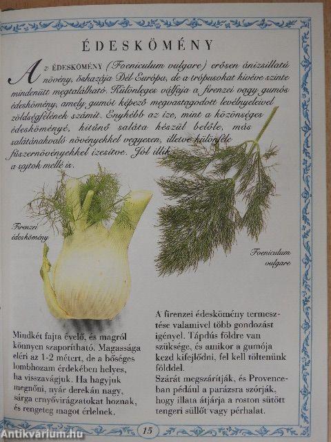 Salátábavalók és salátánakvalók