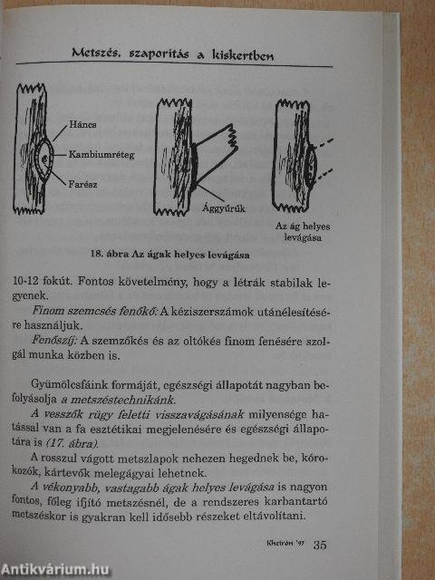 Metszés, szaporítás a kiskertben