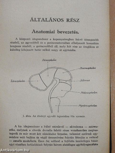 Az elmebetegségek és a kapcsolatos idegbetegségek kórtana