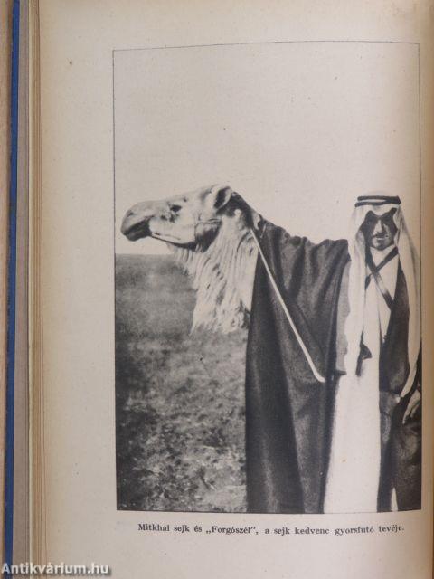 Harcos beduinok között