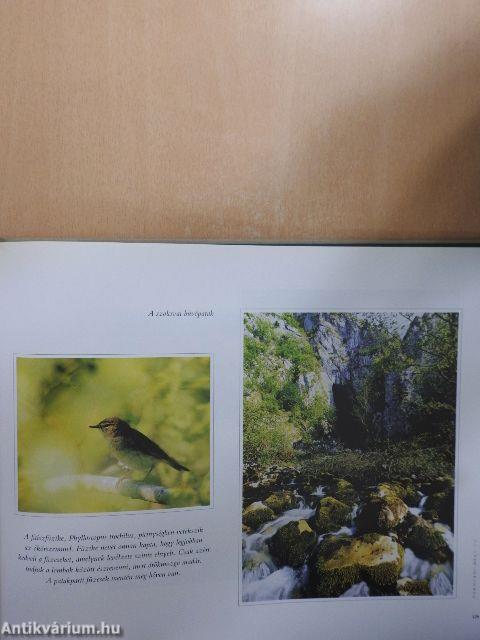 Erdély természeti kincsei