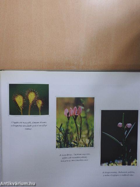 Erdély természeti kincsei