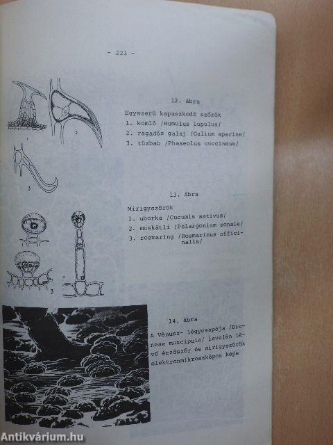 Mezőgazdasági növénytan - Agrobotanika