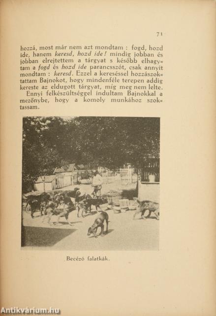 A vadász és vizslája