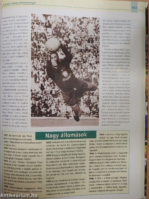 Nagy brazil futballkönyv