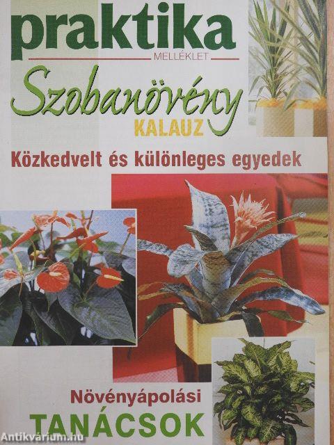 Szobanövény kalauz