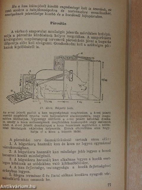 Állattenyésztéstan - Sertéstenyésztéstan