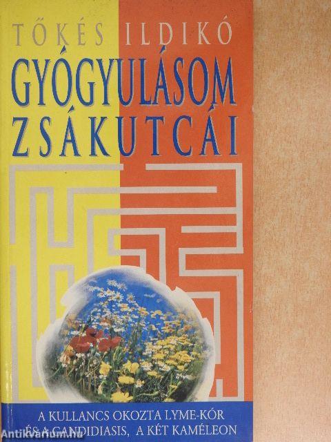 Gyógyulásom zsákutcái