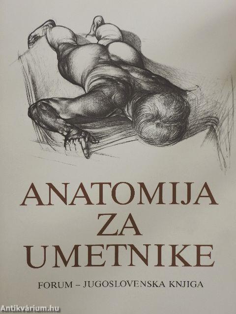 Anatomija za umetnike