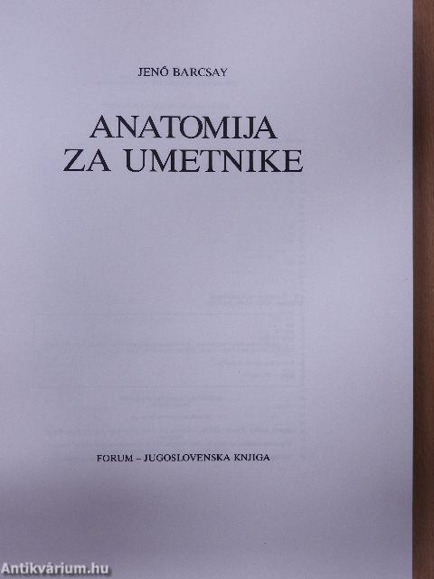 Anatomija za umetnike