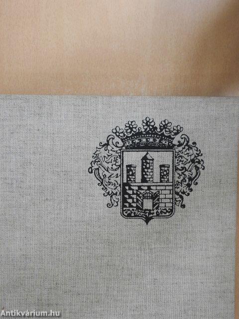 Az ezeréves Székesfehérvár