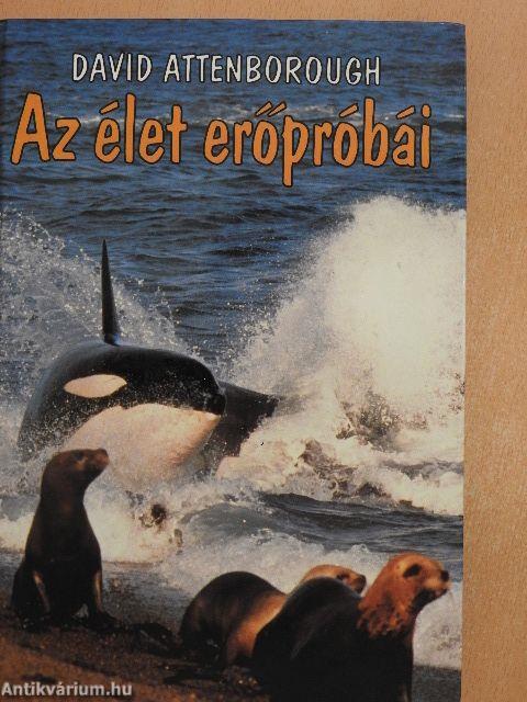 Az élet erőpróbái