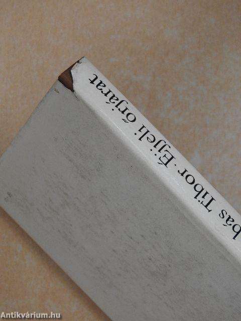 Éjjeli őrjárat