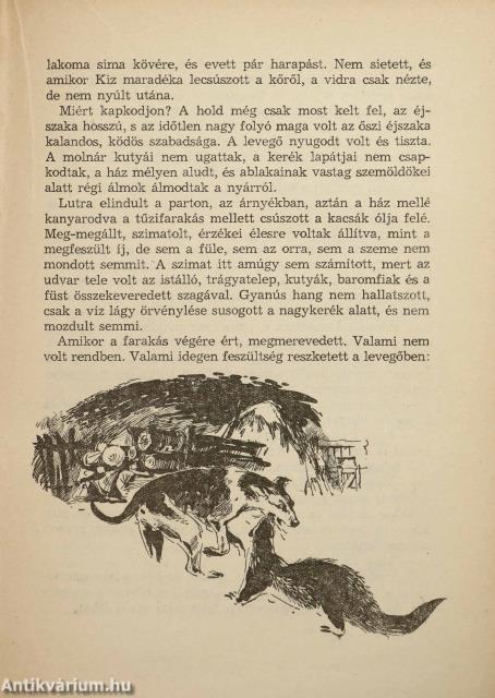 Lutra (dedikált példány)