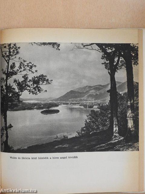 Szigetlakók között