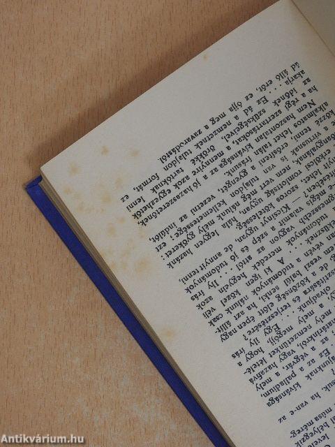Kármán József és Berzsenyi Dániel