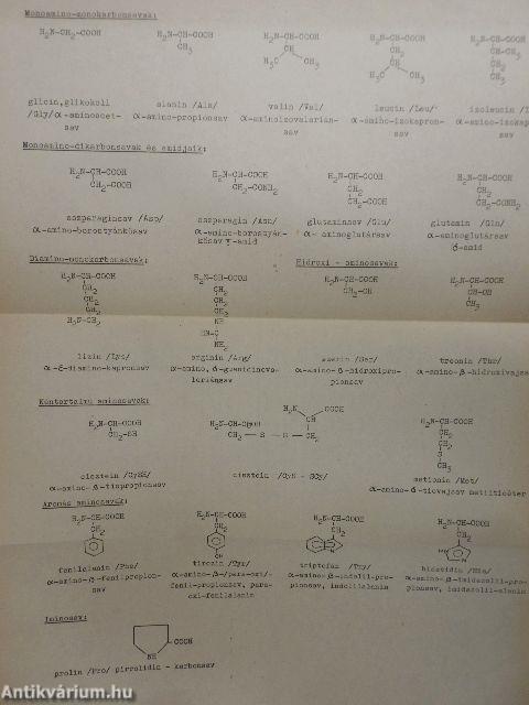 Bioorganikus kémia II.