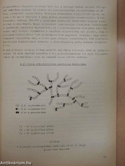 Bioorganikus kémia II.