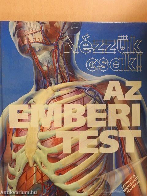 Az emberi test