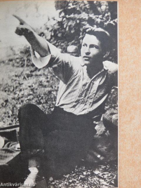 Áprily Lajos alkotásai és vallomásai tükrében