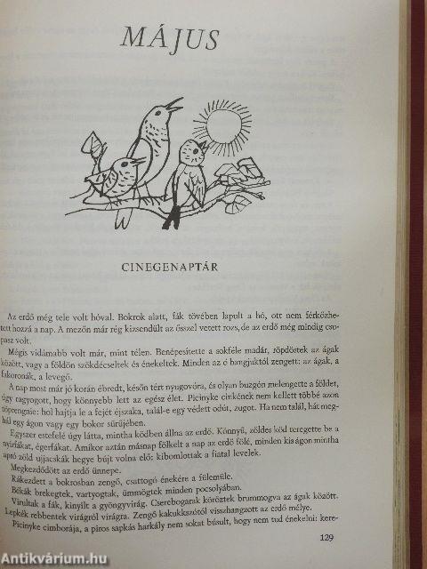 Minden napra egy mese