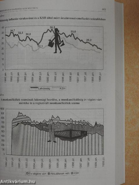 Magyarország évtizedkönyve 1988-1998. II.