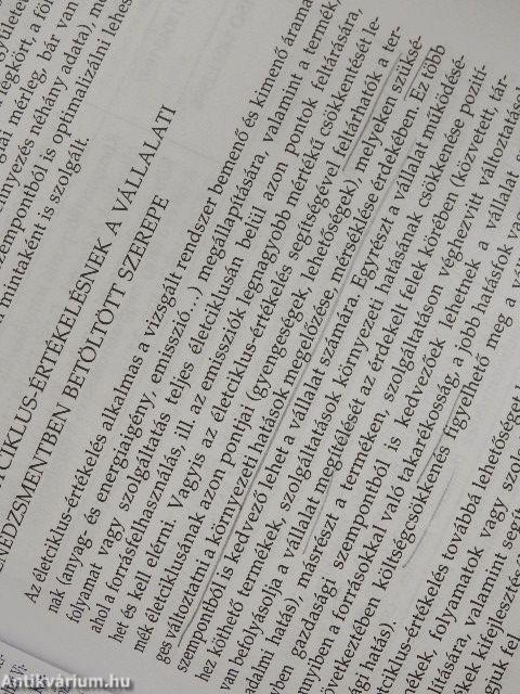 Környezetmenedzsment