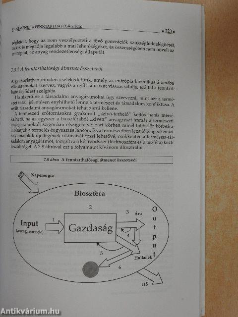 Környezetgazdaságtan